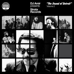 DJ Amir - Dj Amir Presents Strata Records: The Sound Of Detroit Vol. 2  LP
